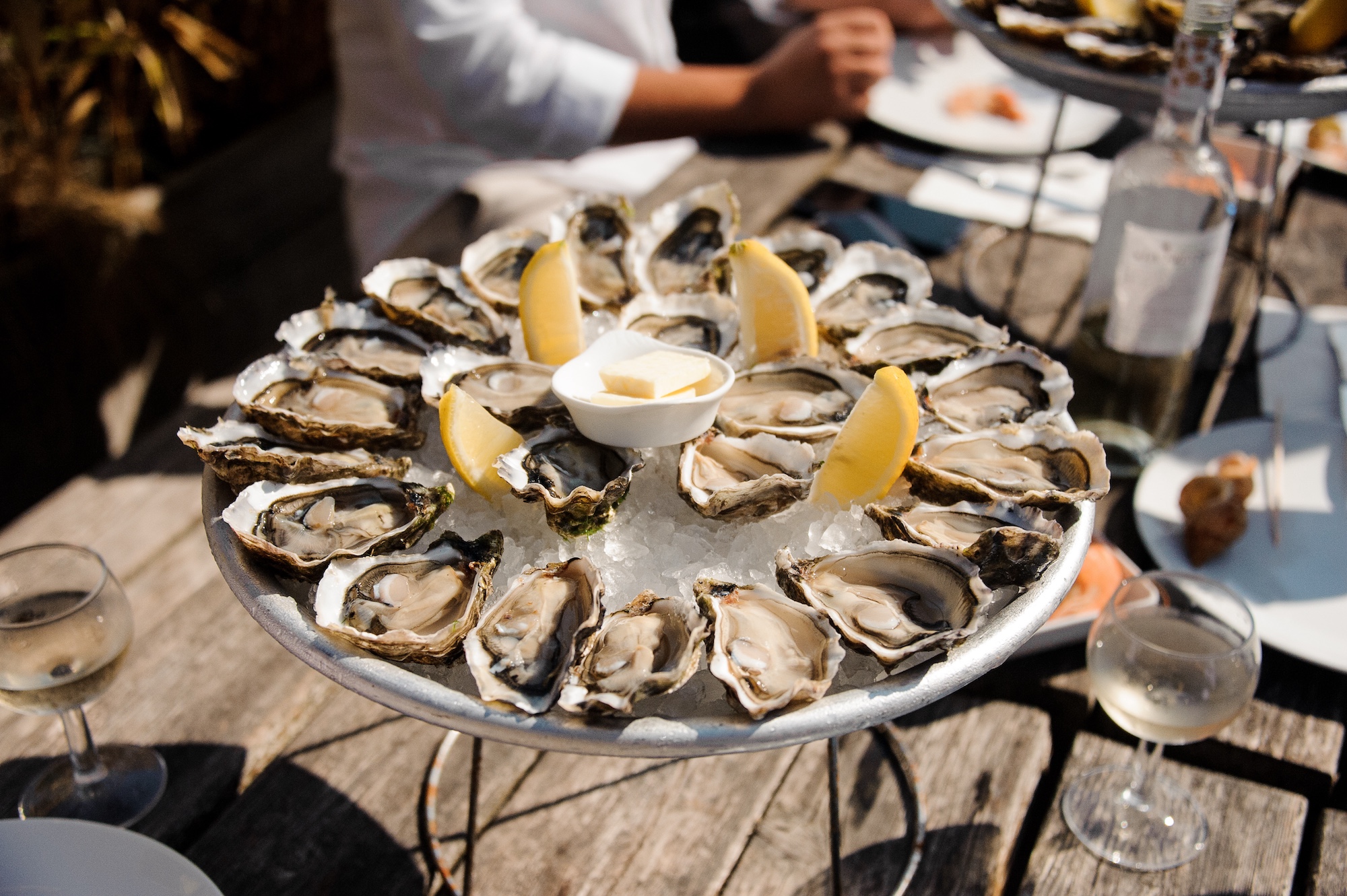 Plate of oysters with lemon slices
